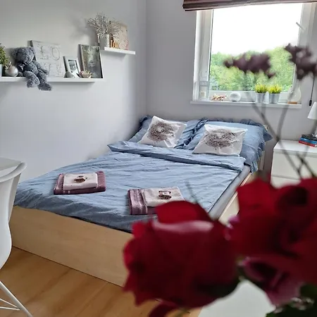 W Apartamencie Z Pieknym Widokiem Na Morze Appartement *