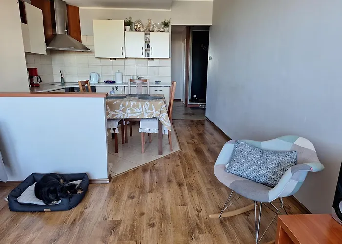Pokój W Apartamencie Z Pięknym Widokiem Na Morze Apartament
